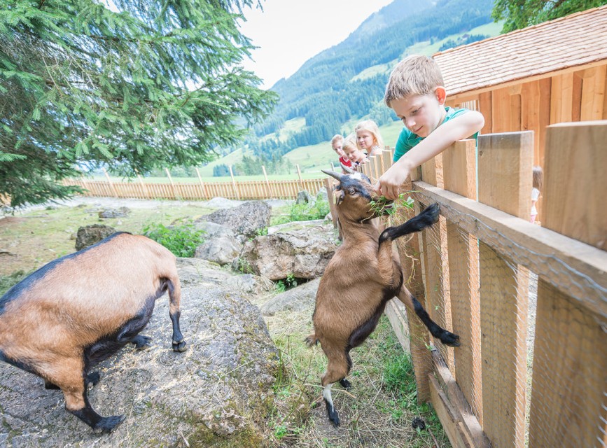Tiererlebnis f&uuml;r Kinder: Ziegen f&uuml;ttern im Abenteuerland in Kleinarl