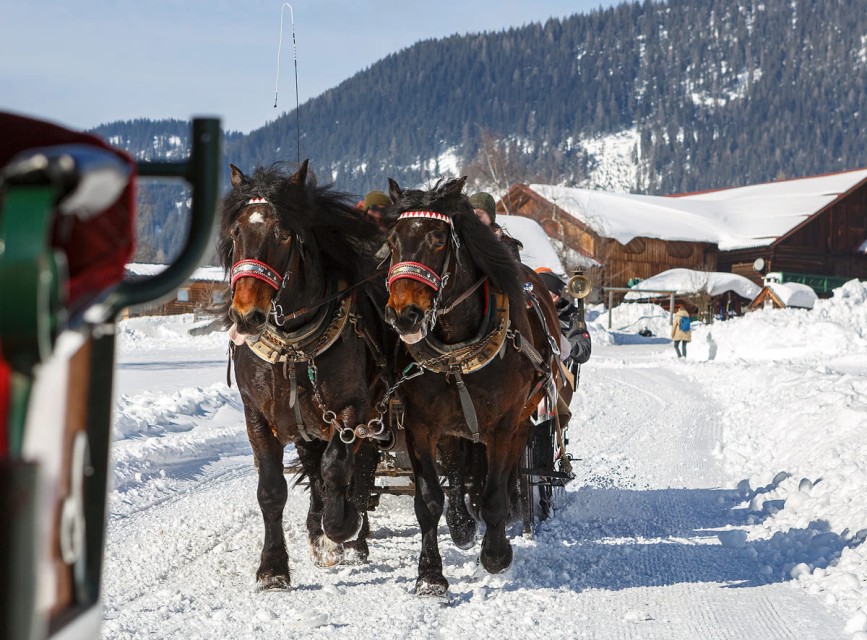 Winterliche Pferdeschlittenfahrt durch Kleinarl © Shutterstock