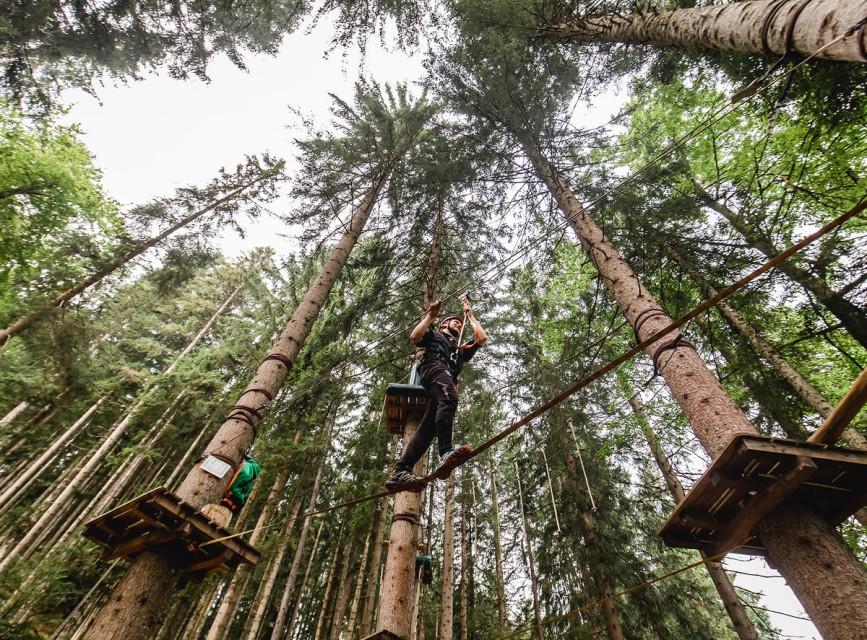 Kletterer im Hochseilgarten rund um Kleinarl zwischen hohen Fichten © Wagrain-Kleinarl Tourismus/Sportalpen Marketing