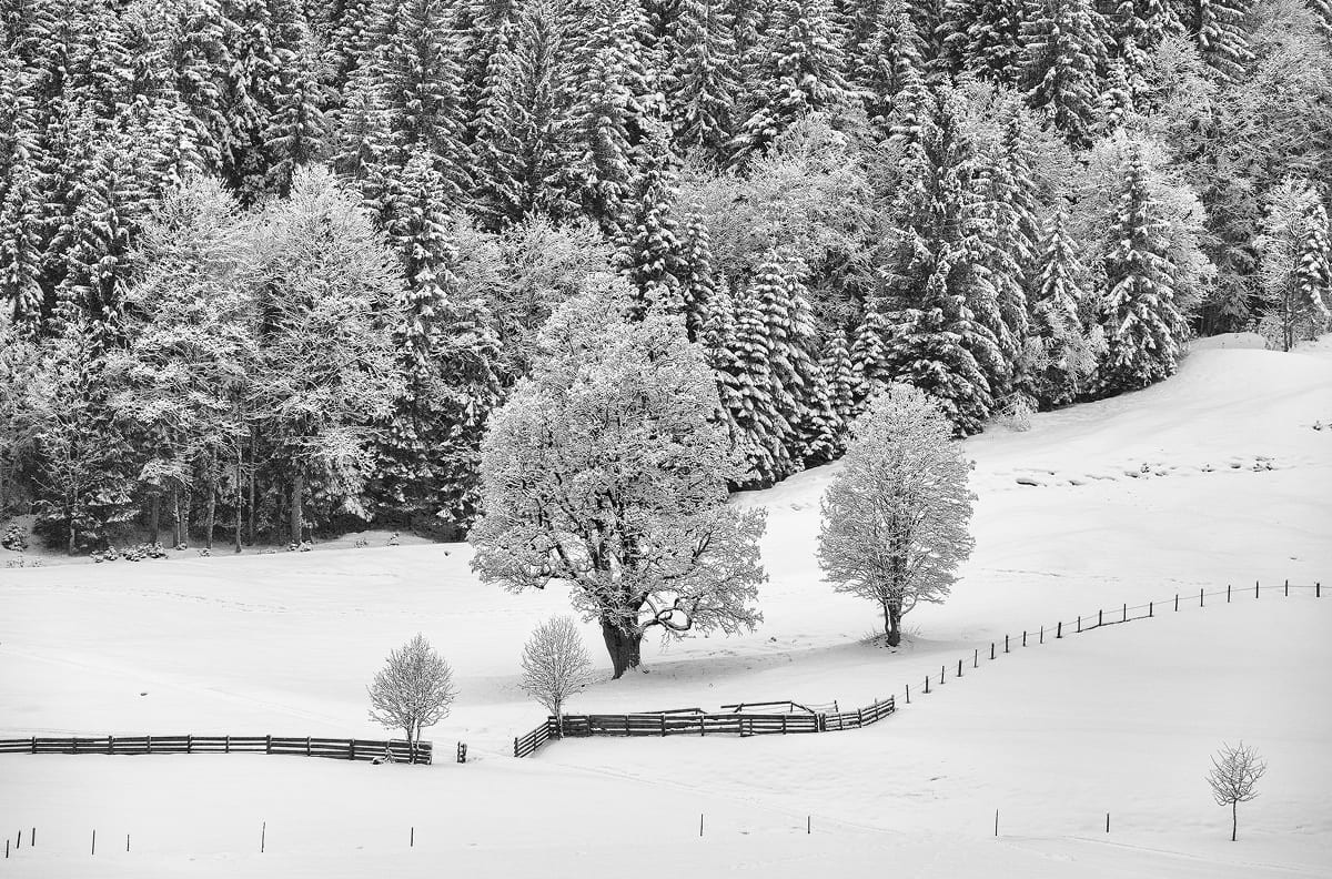 Winter in Kleinarl in Salzburger Land with snow-covered Alps and nature