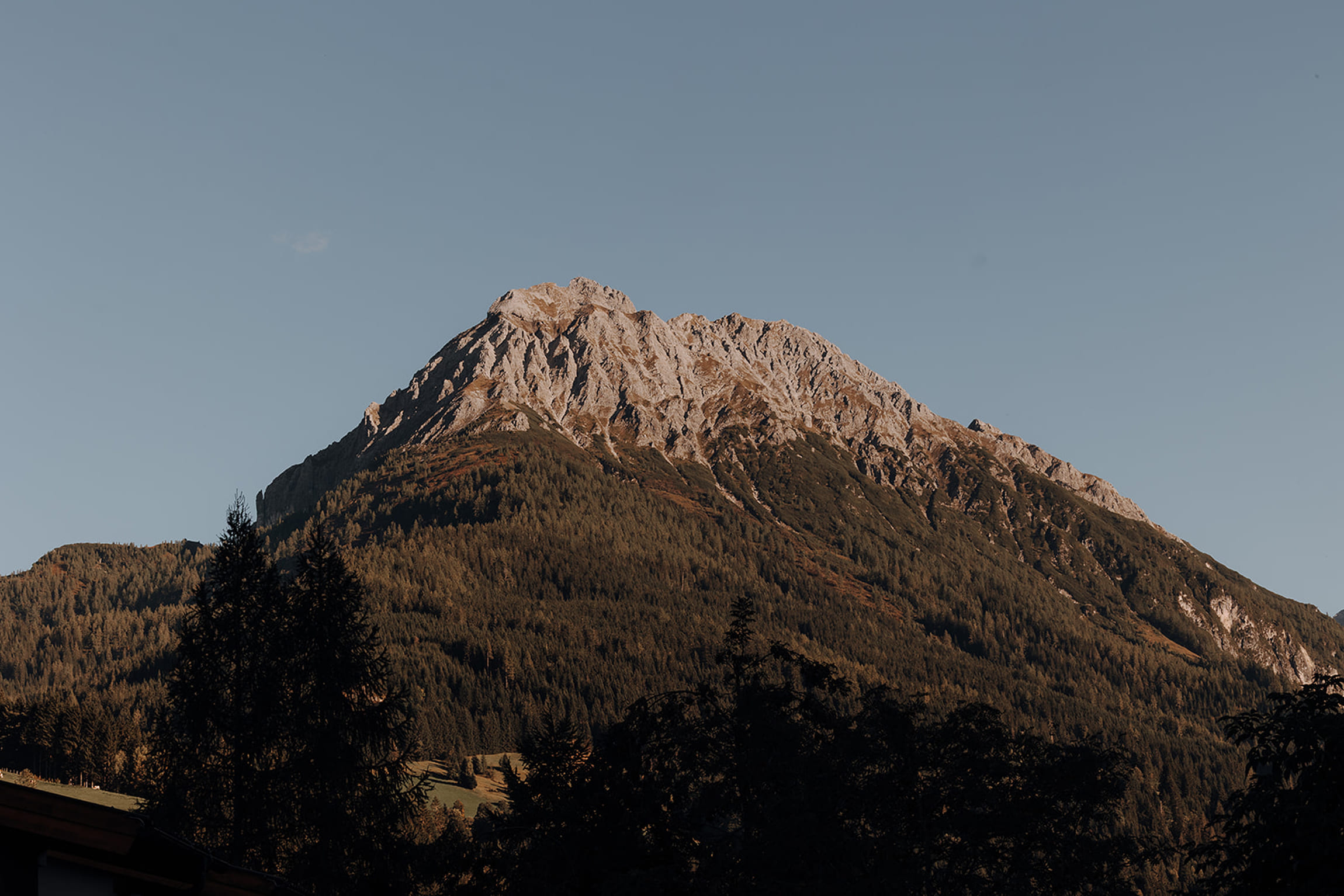 Berggipfel im Kleinarltal, umgeben von dichtem Wald und klarem Himmel