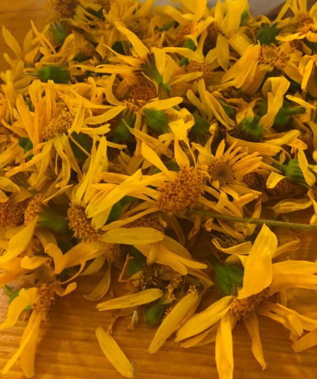 Aus den selbst gepflückten Arnikablüten wird ein toller Kräuterschnaps