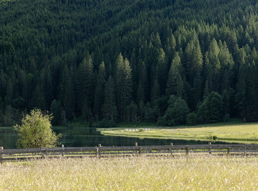 Frühstückstisch mit Brötchen, Kuchen, Saft und Kaffee in einem gemütlichen Raum