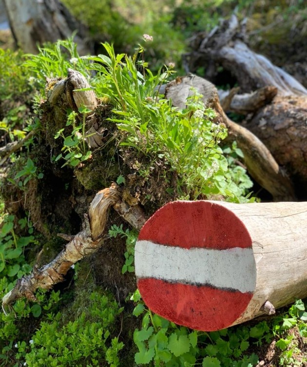 Idylle pur - und man bleibt immer auf sicheren Wegen