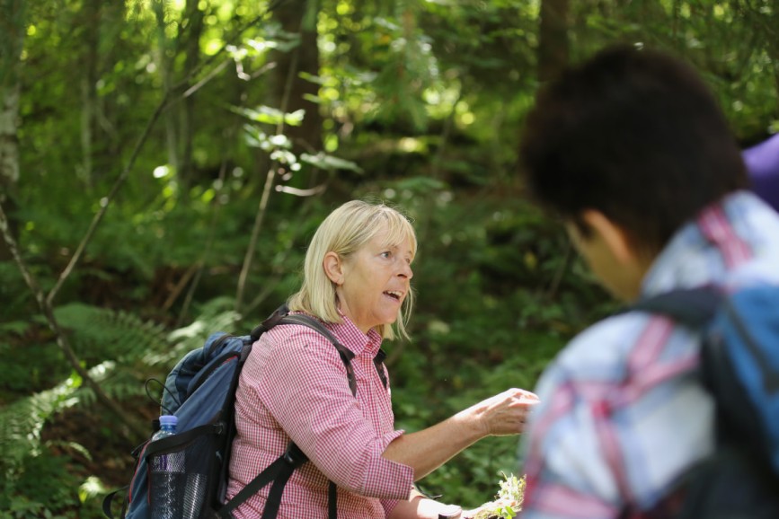Gitti erkl&auml;rt in der Kr&auml;uterwanderung verschiedene Pflanzen