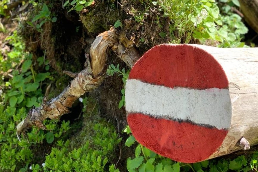 Markierung f&uuml;r Wanderer auf Wanderweg im Wald