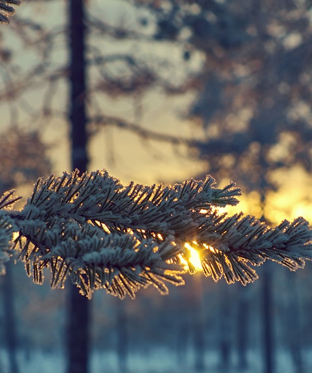 Cosy evening sun in winter © Salzburger Land Tourismus