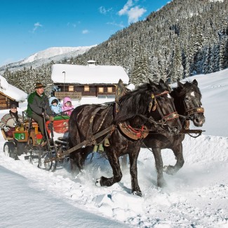 Freu dich auf eine romantische Pferdeschlittenfahrt im Schnee © Wagrain-Kleinarl Tourismus